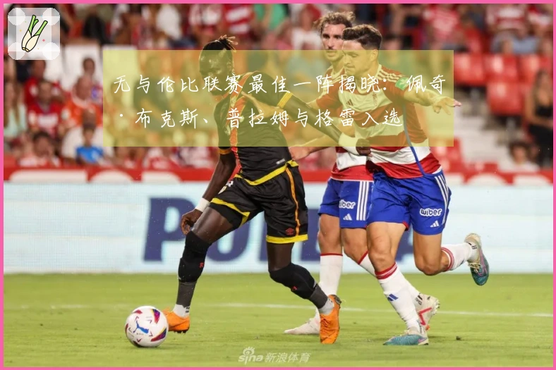 无与伦比联赛最佳一阵揭晓：佩奇·布克斯、普拉姆与格雷入选